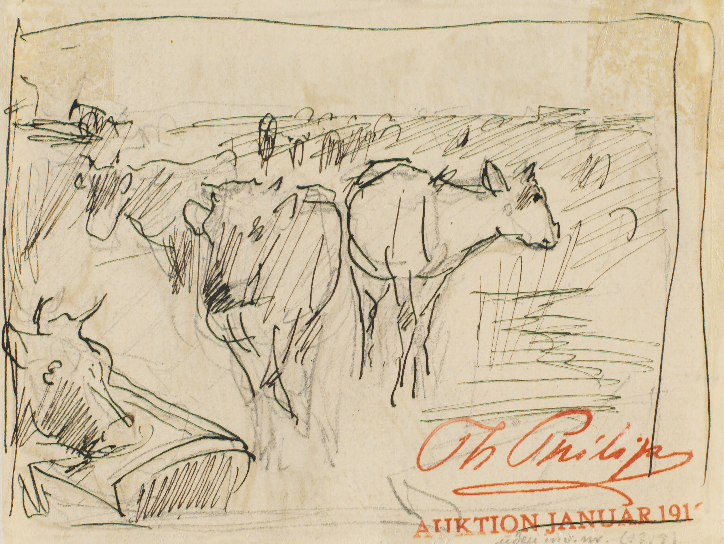 Køer ved et vandingstrug